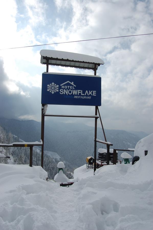 Hotel Snowflake Narkanda Bagian luar foto